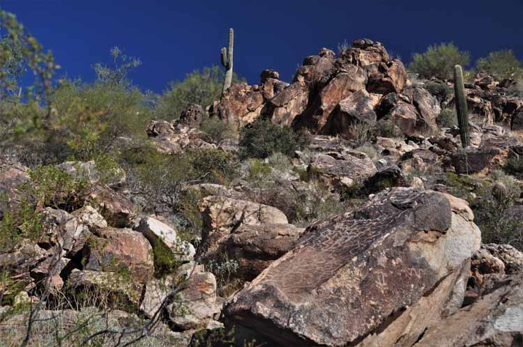 petroglyphs